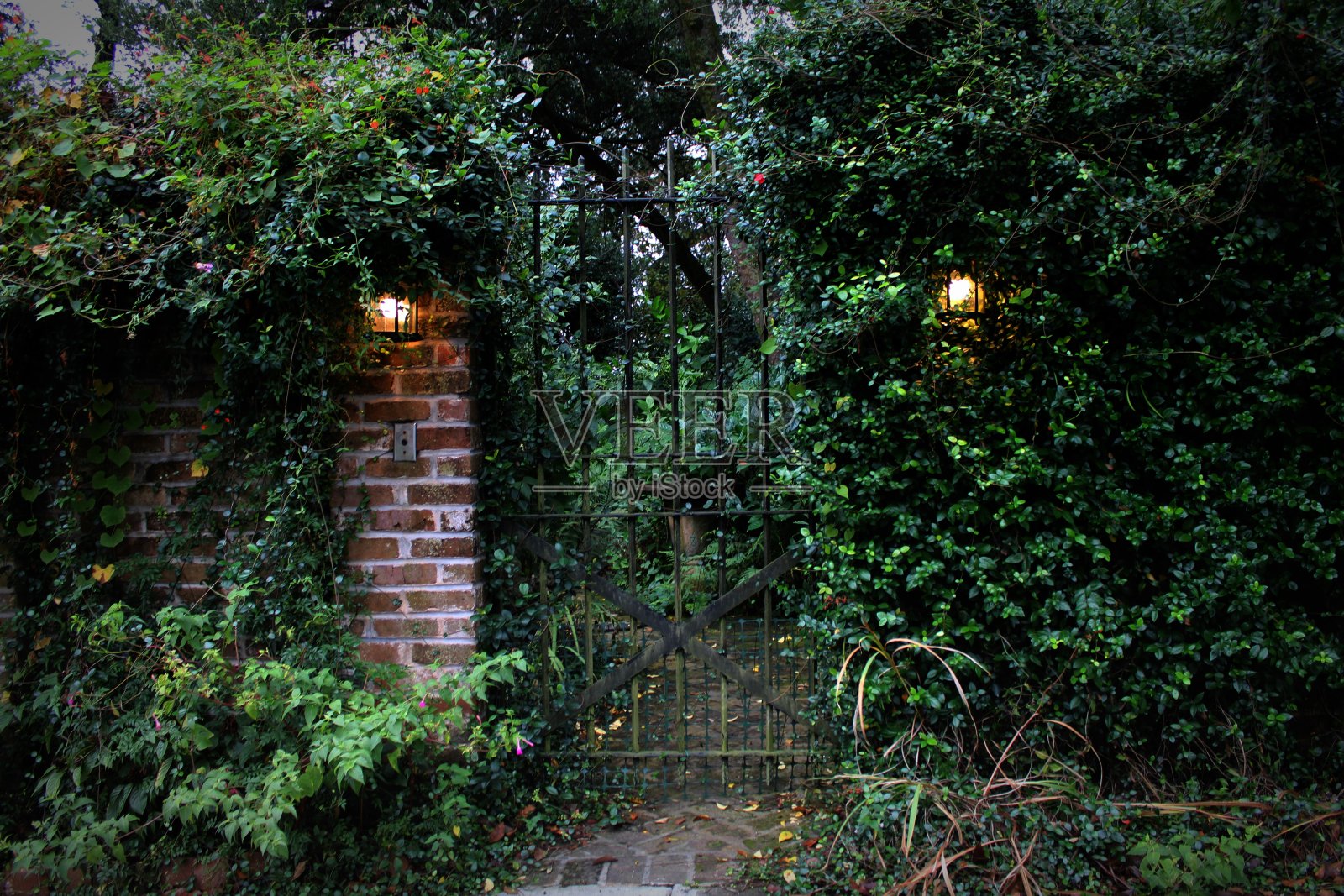 花园大门和砖墙与灯和藤蔓照片摄影图片