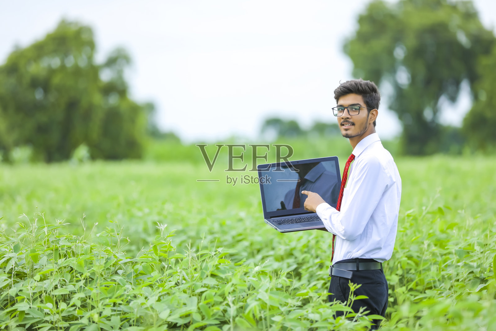 年轻的印度农学家在田间使用笔记本电脑照片摄影图片