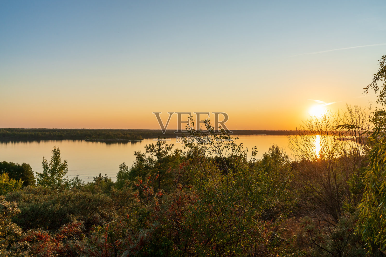 黄昏时分,沙棘在湖边照片摄影图片