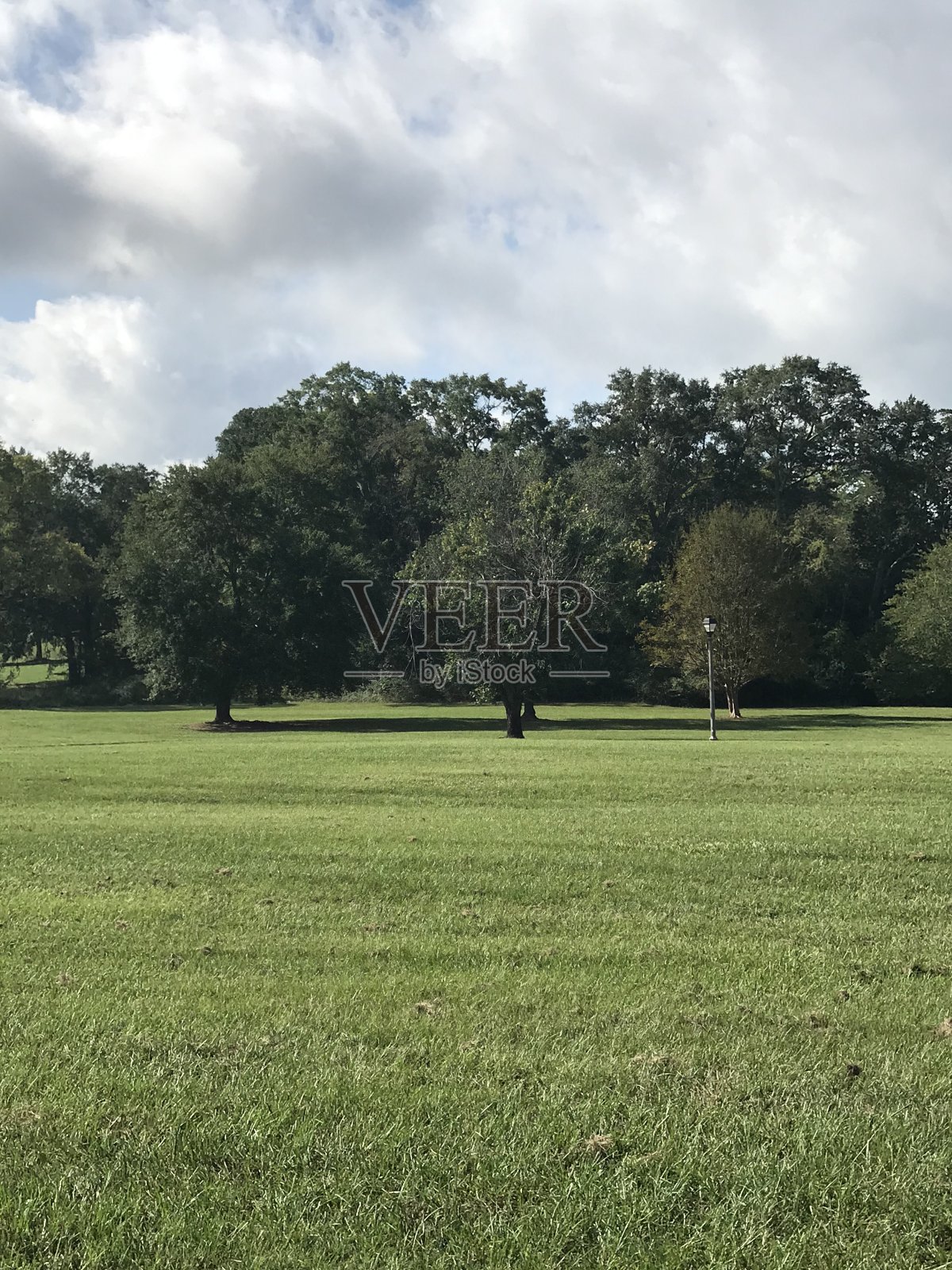 美丽的自然风光照片摄影图片