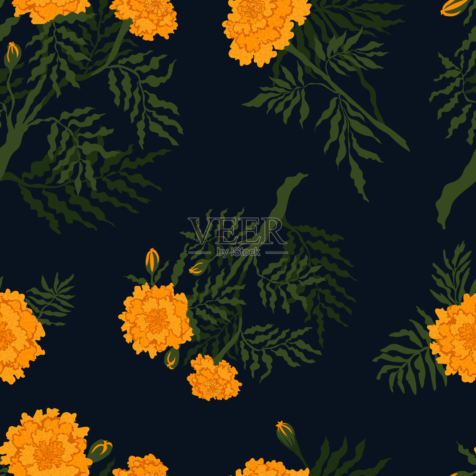 深蓝色背景上明亮万寿菊的秋季花卉图案插画图片素材