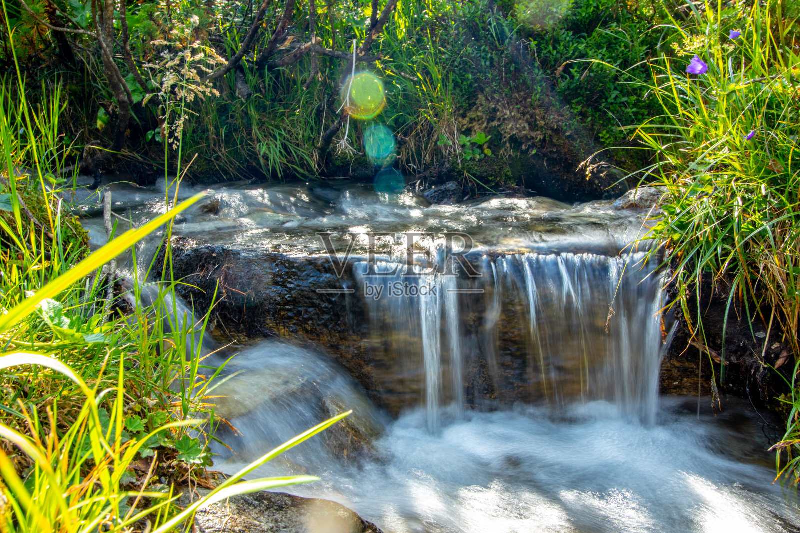 水顺着小石头流下来照片摄影图片