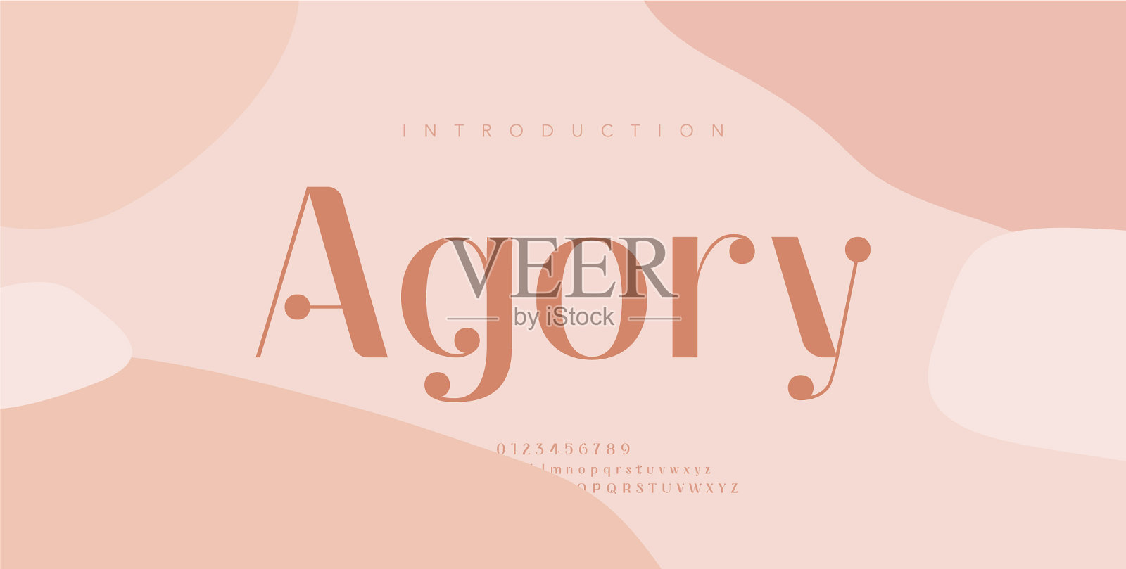 优雅的字母字体和数字经典插画图片素材