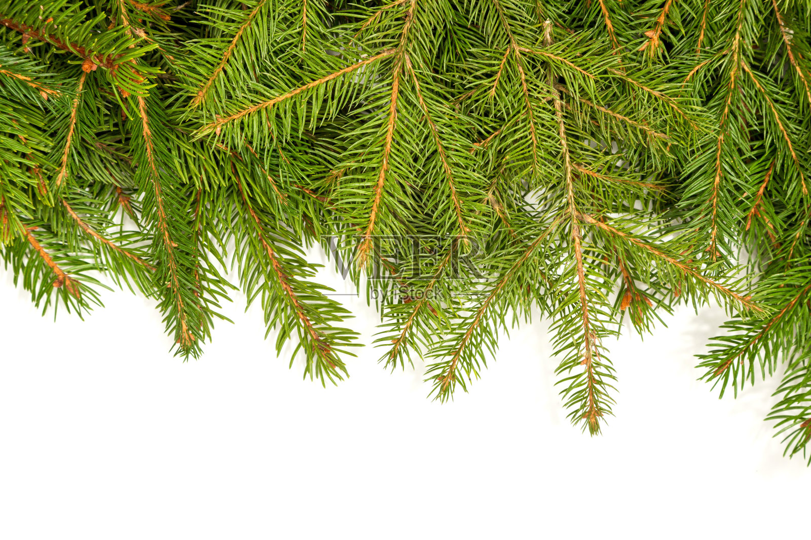 圣诞节的框架照片摄影图片