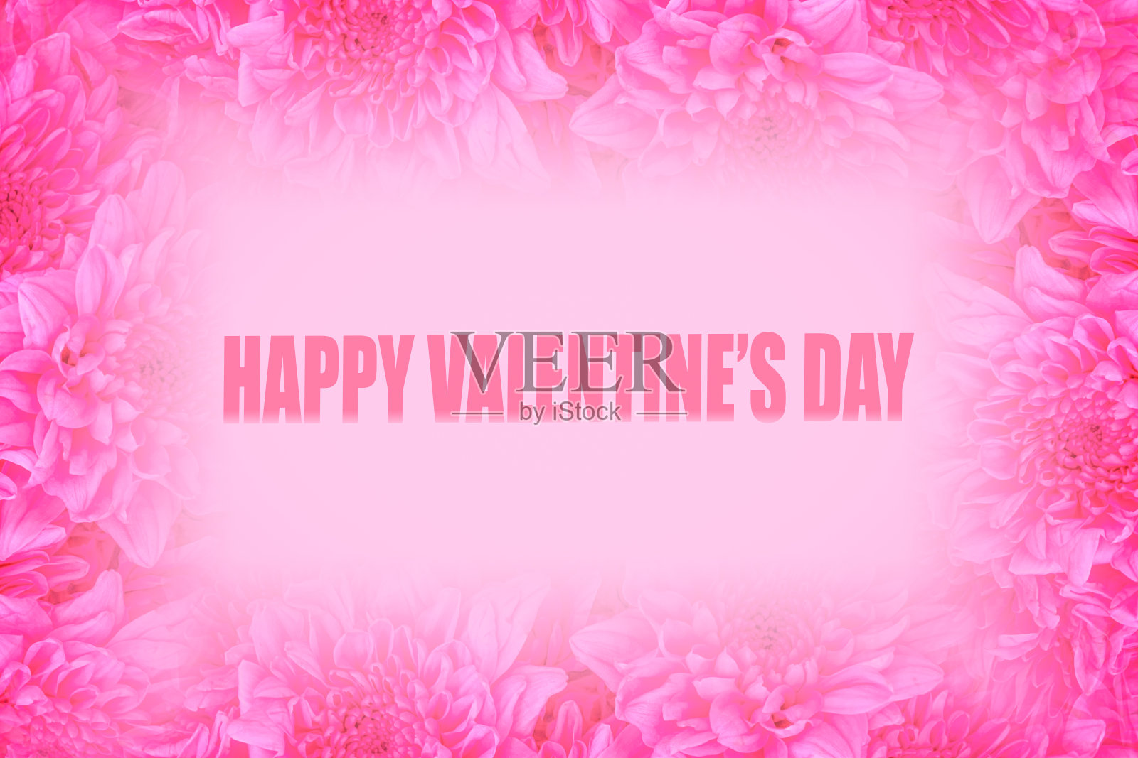 特写粉红玫瑰花背景照片摄影图片