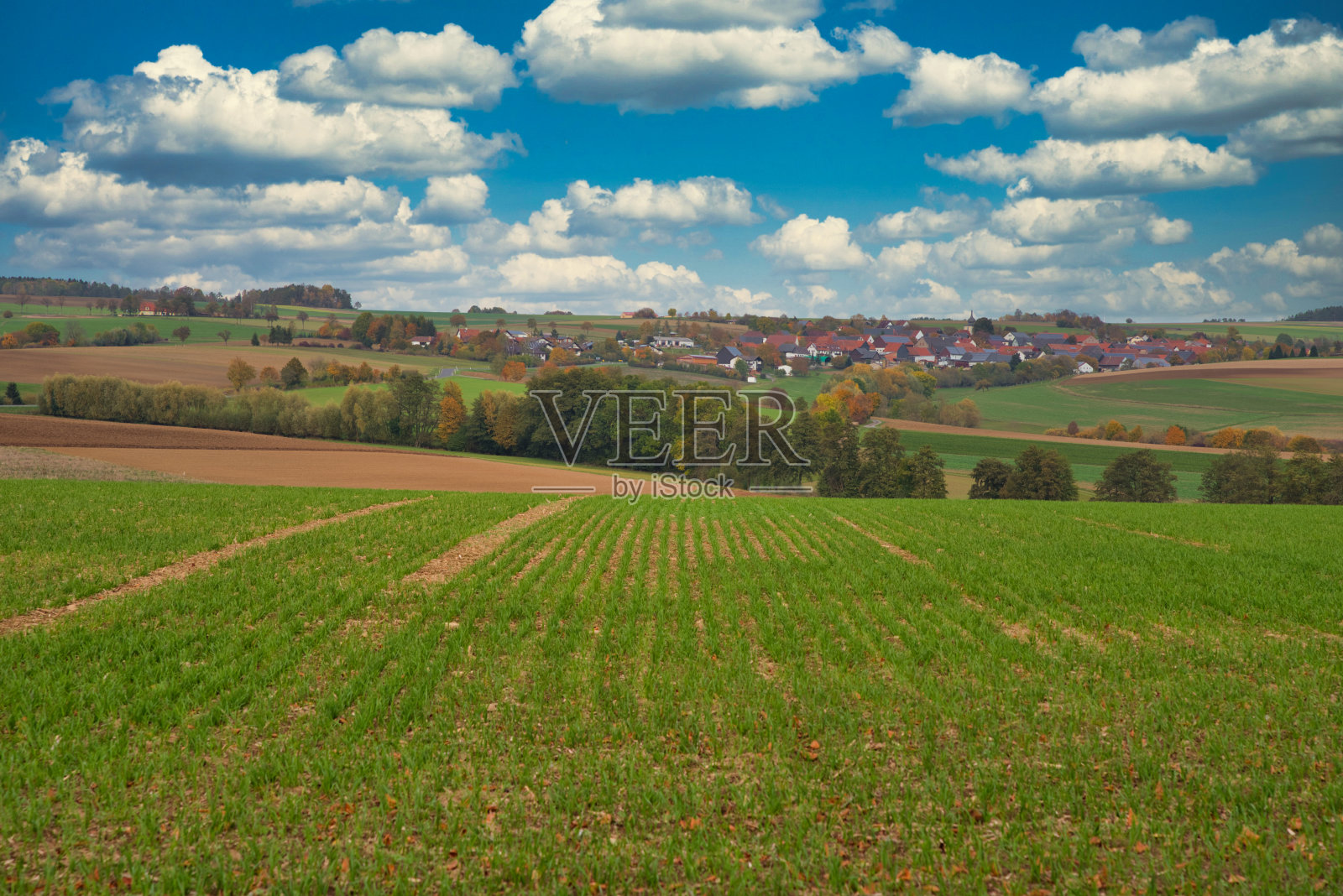 大麦在秋天播种照片摄影图片