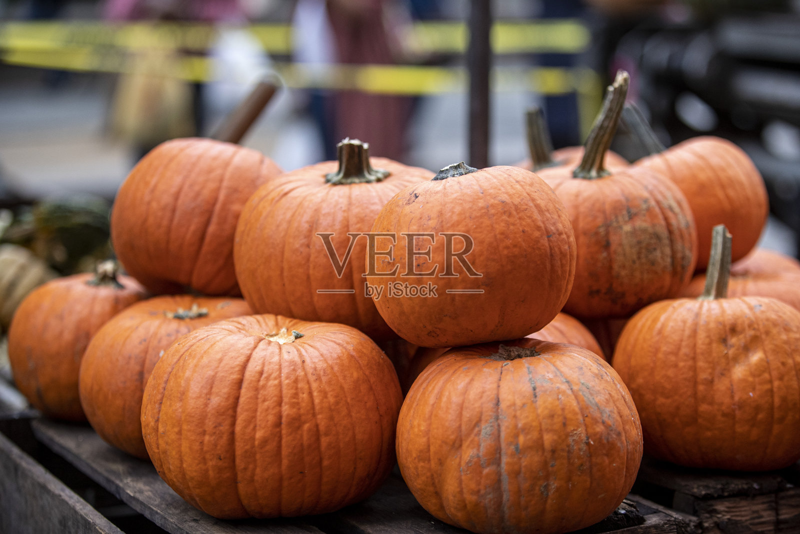 在农贸市场展出的南瓜照片摄影图片