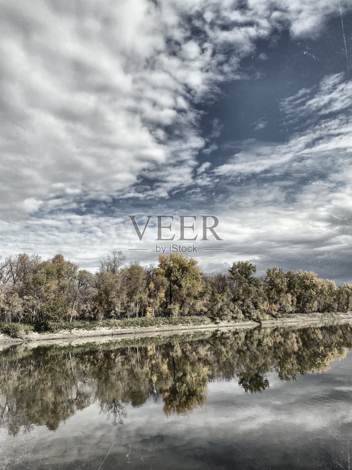 秋叶映江照片摄影图片