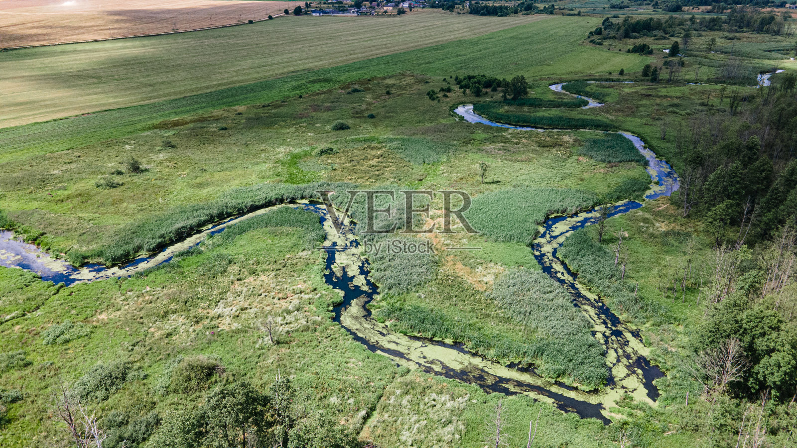 曲河夏日绿意航拍无人机摄影照片摄影图片