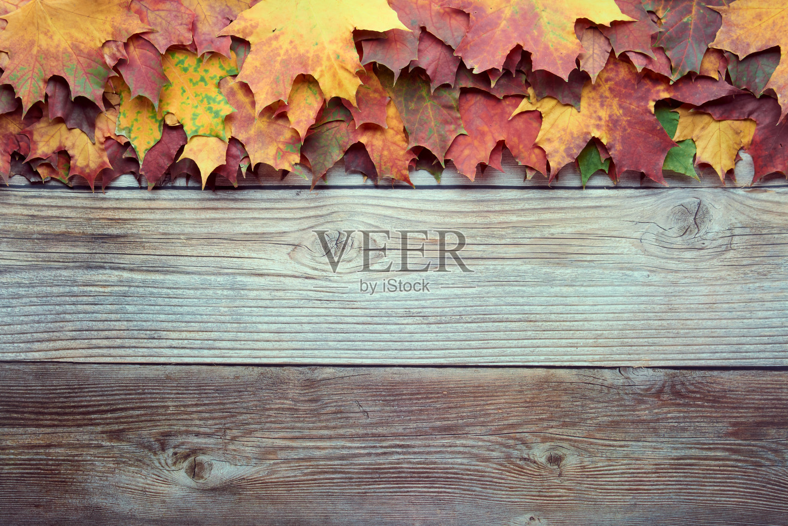 边框的彩色秋叶孤立在木制的背景。秋天,秋天,感恩节,自然概念。平铺,俯视图,拷贝空间。照片摄影图片