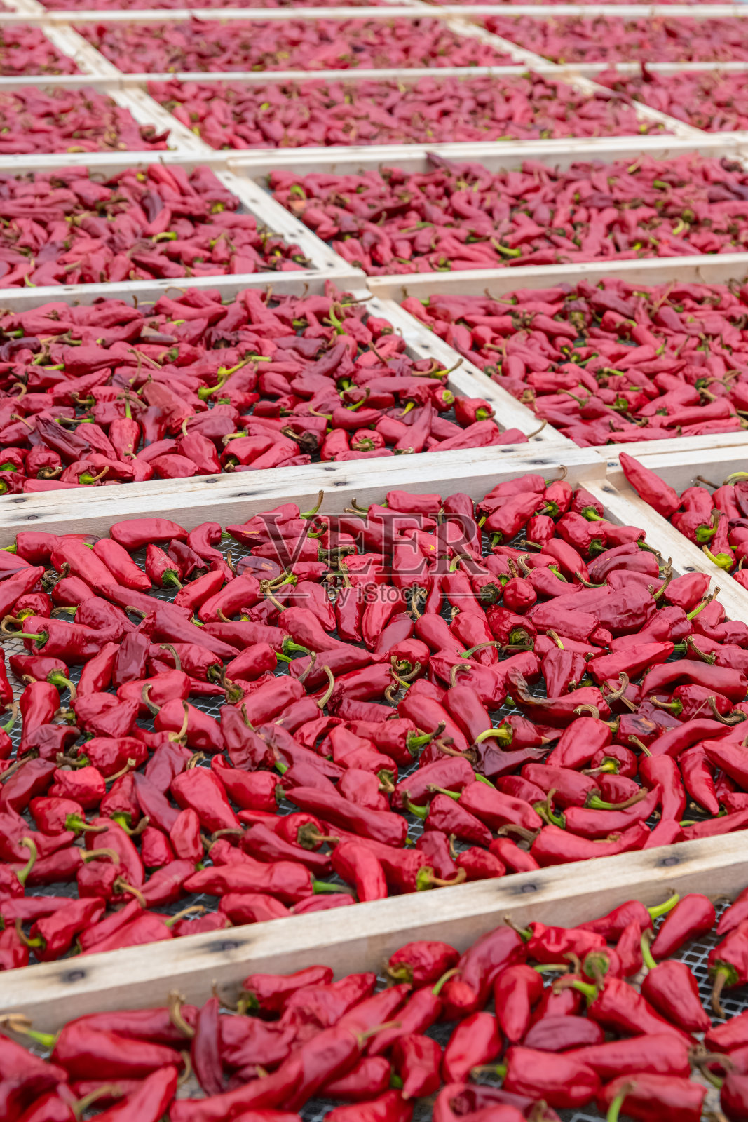 Espelette辣椒干照片摄影图片