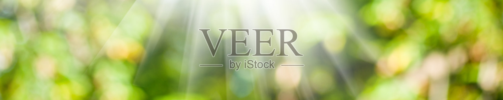 模糊背景上的阳光图像照片摄影图片