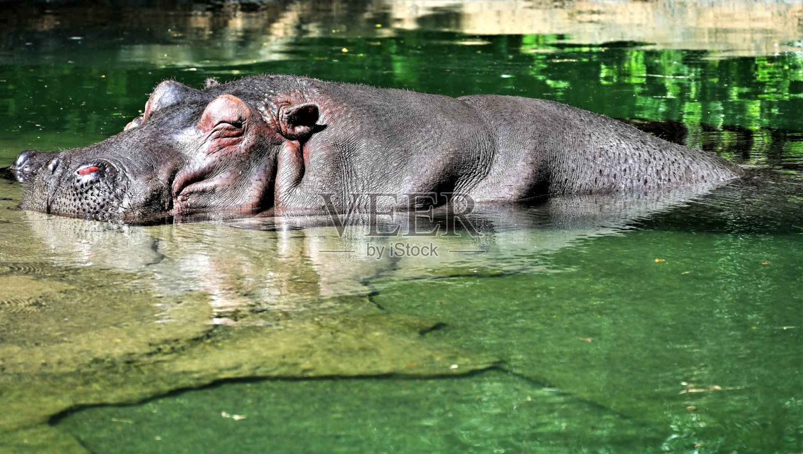 生活的事情照片摄影图片