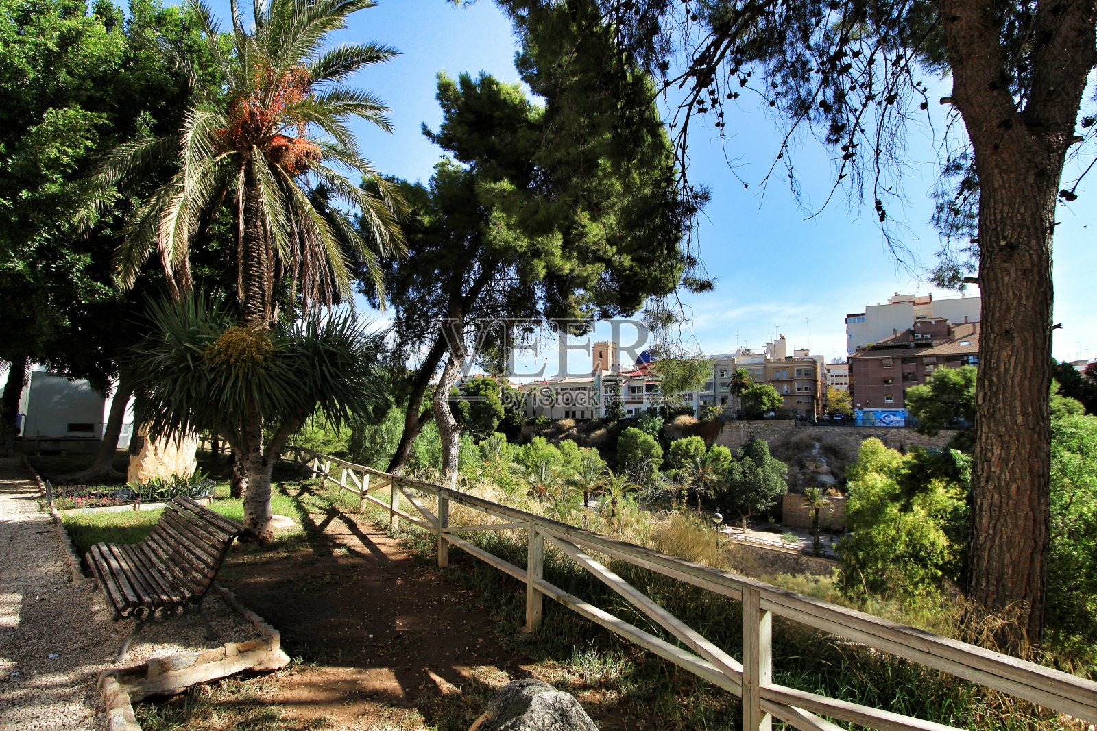 棕榈林景观和埃尔切Vinalopo河的山坡照片摄影图片