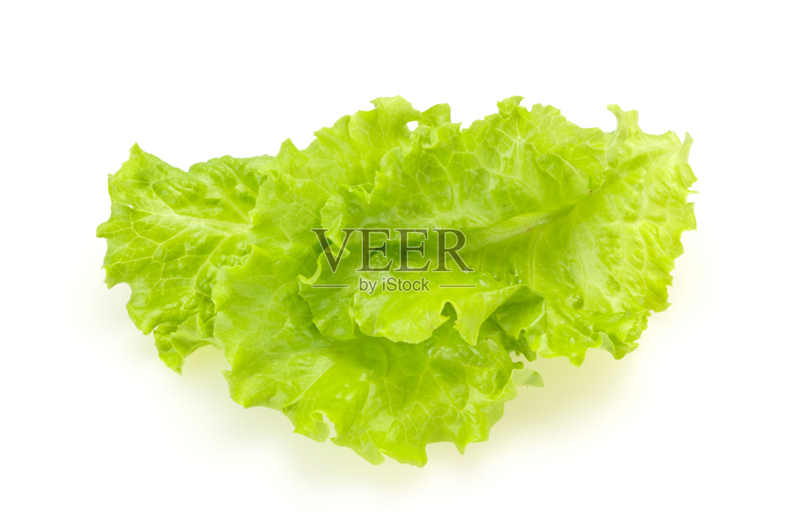 膳食烹饪绿色沙拉叶照片摄影图片