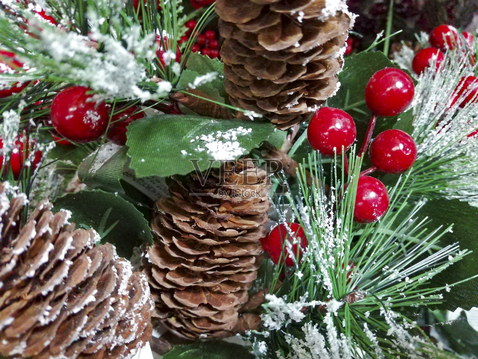 圣诞树上棕色的突起,缀着红色的浆果和缀着雪的松针照片摄影图片