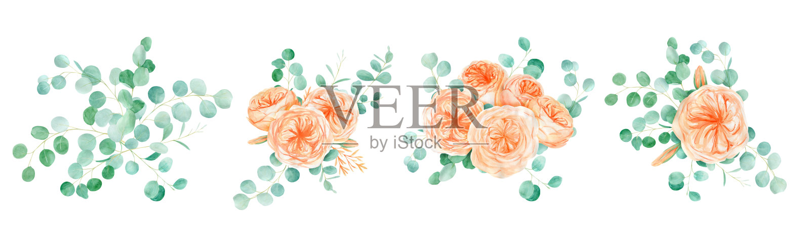 桃子和橙色水彩玫瑰和桉树花束插画图片素材