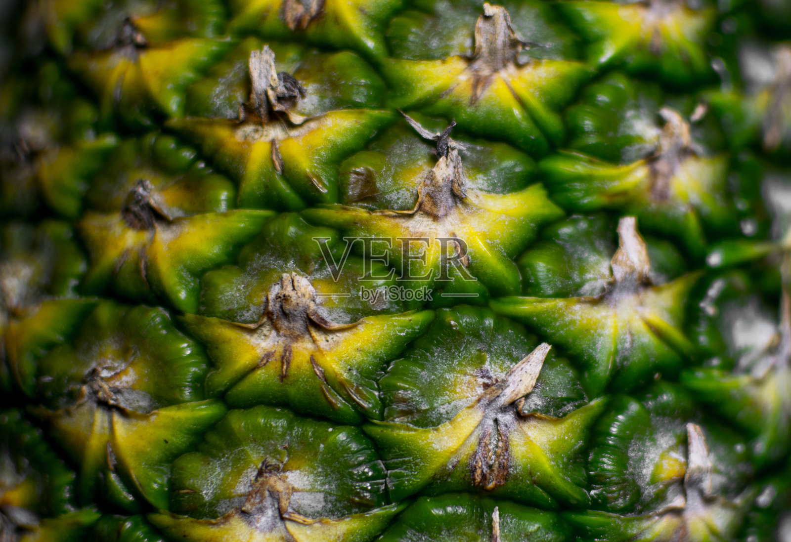 纹理——菠萝。照片摄影图片