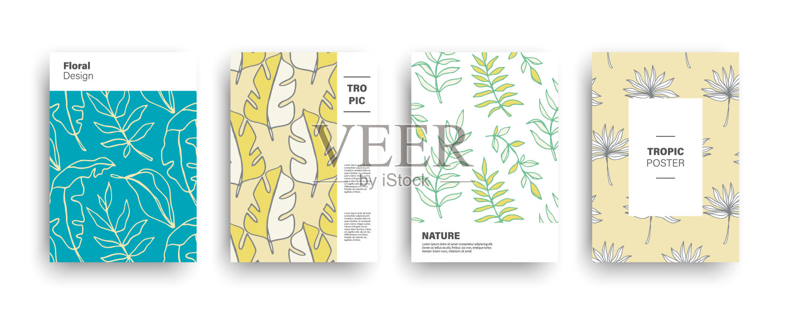 热带自然异域盖套插画图片素材