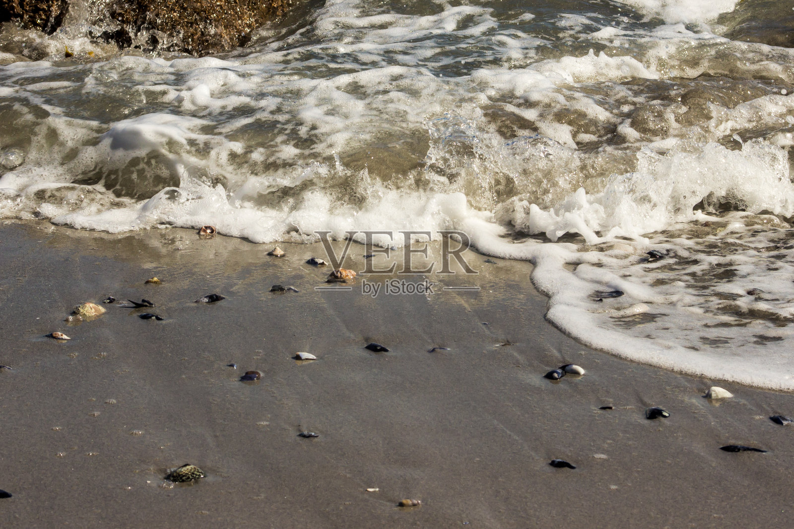 摘要与冲浪和贝壳碎片照片摄影图片