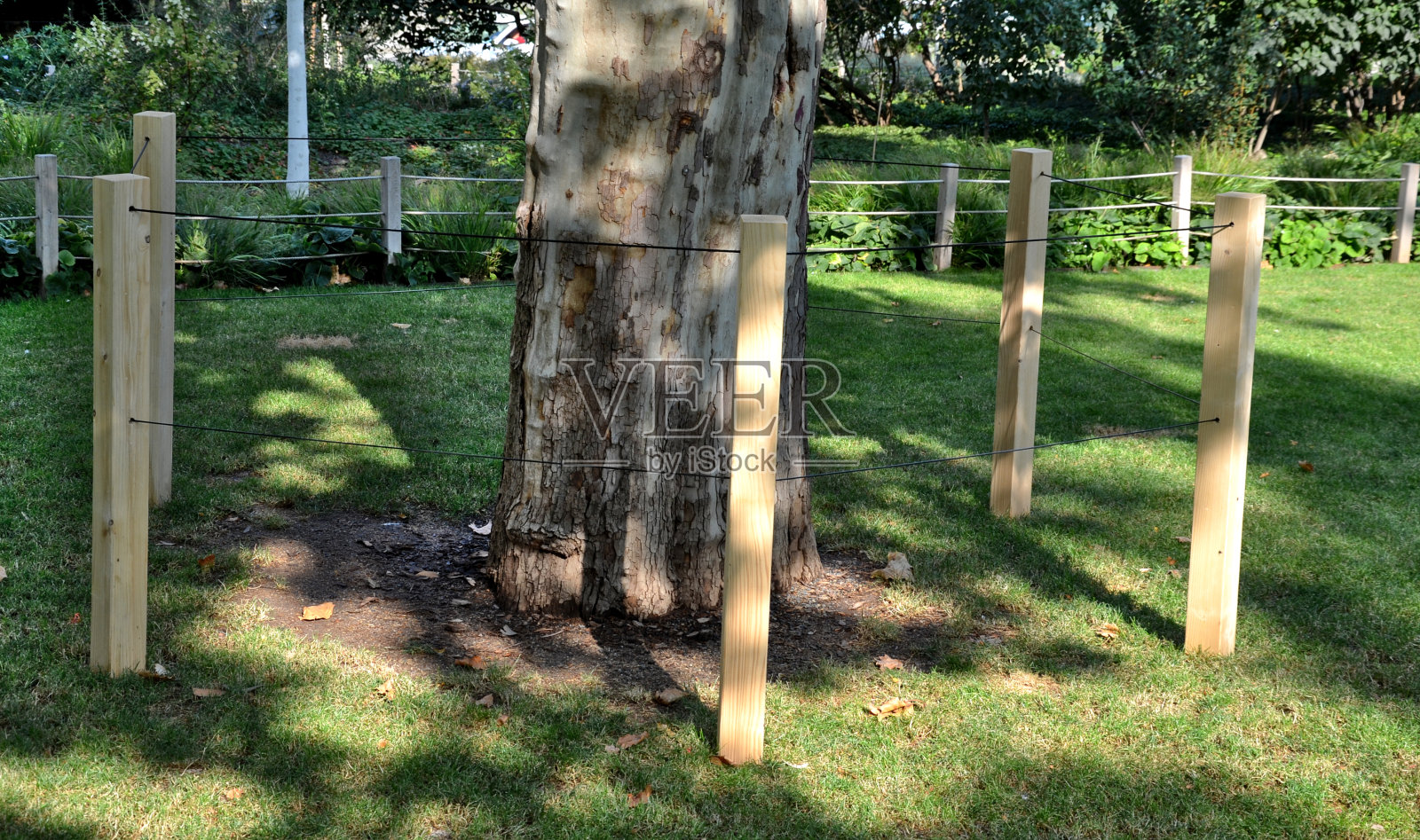 在维护绿化时,必须保护树木和花坛,防止进入。树木被尿损伤,尿损伤树叶的树皮和根部的盐分,施肥用氮照片摄影图片