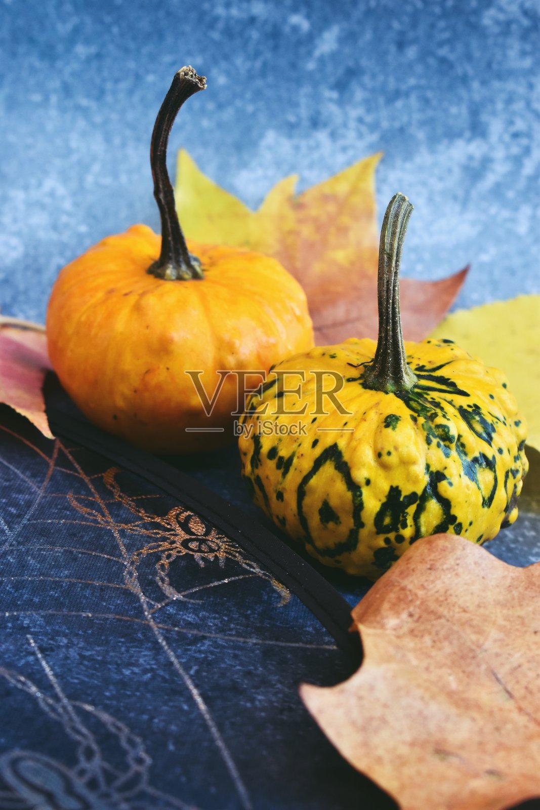 南瓜和秋天的叶子在蓝色的背景和蜘蛛网照片摄影图片
