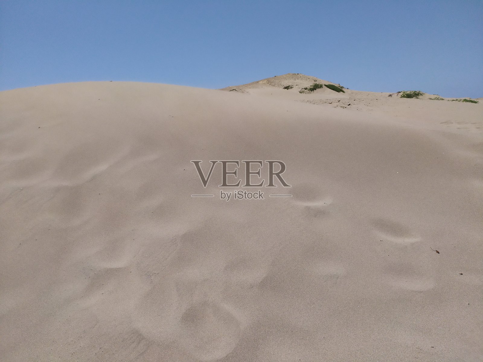 弱者的沙漠照片摄影图片