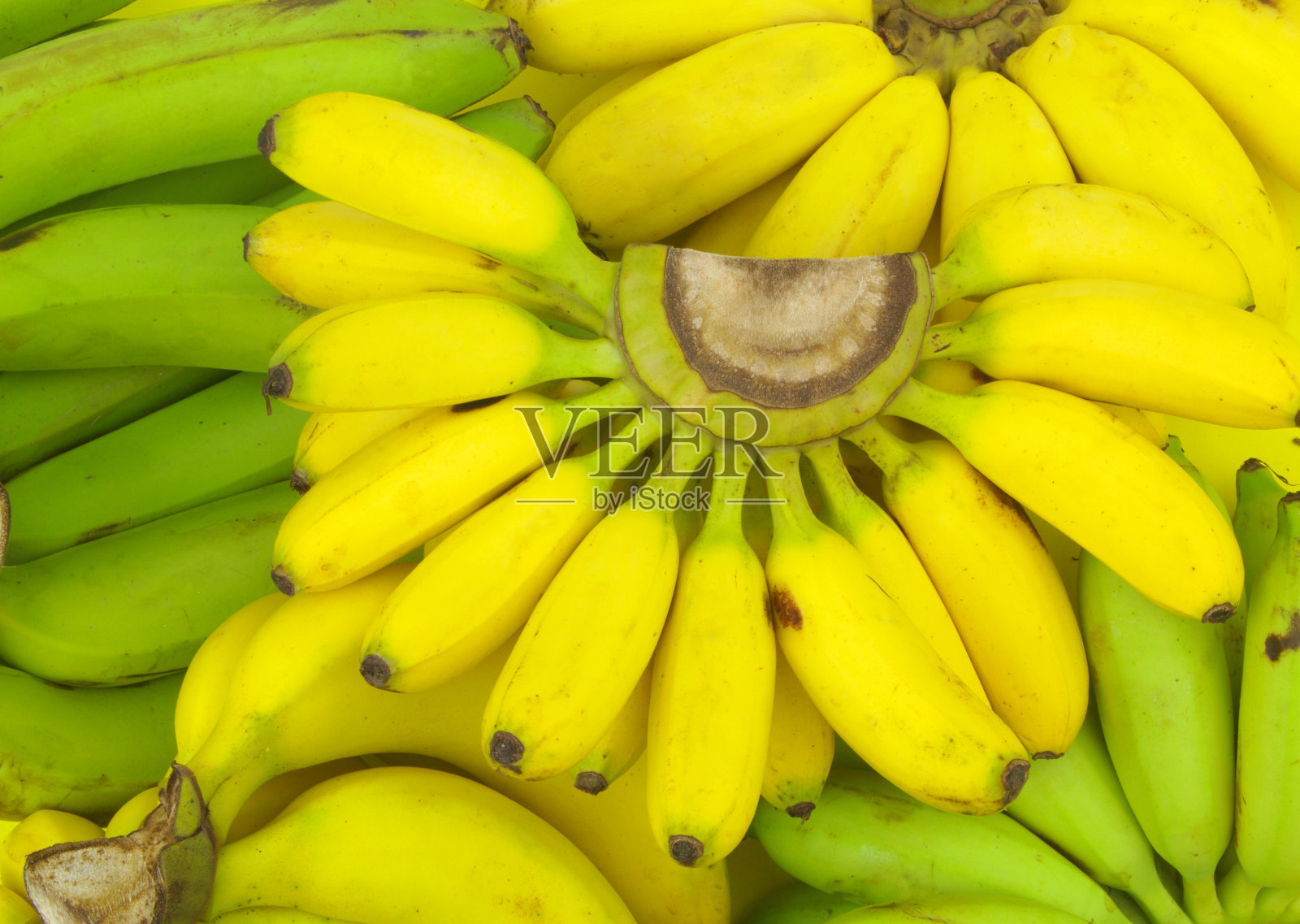 背景不同的香蕉照片摄影图片