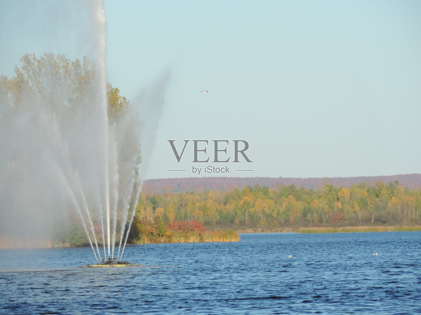 秋天的美照片摄影图片