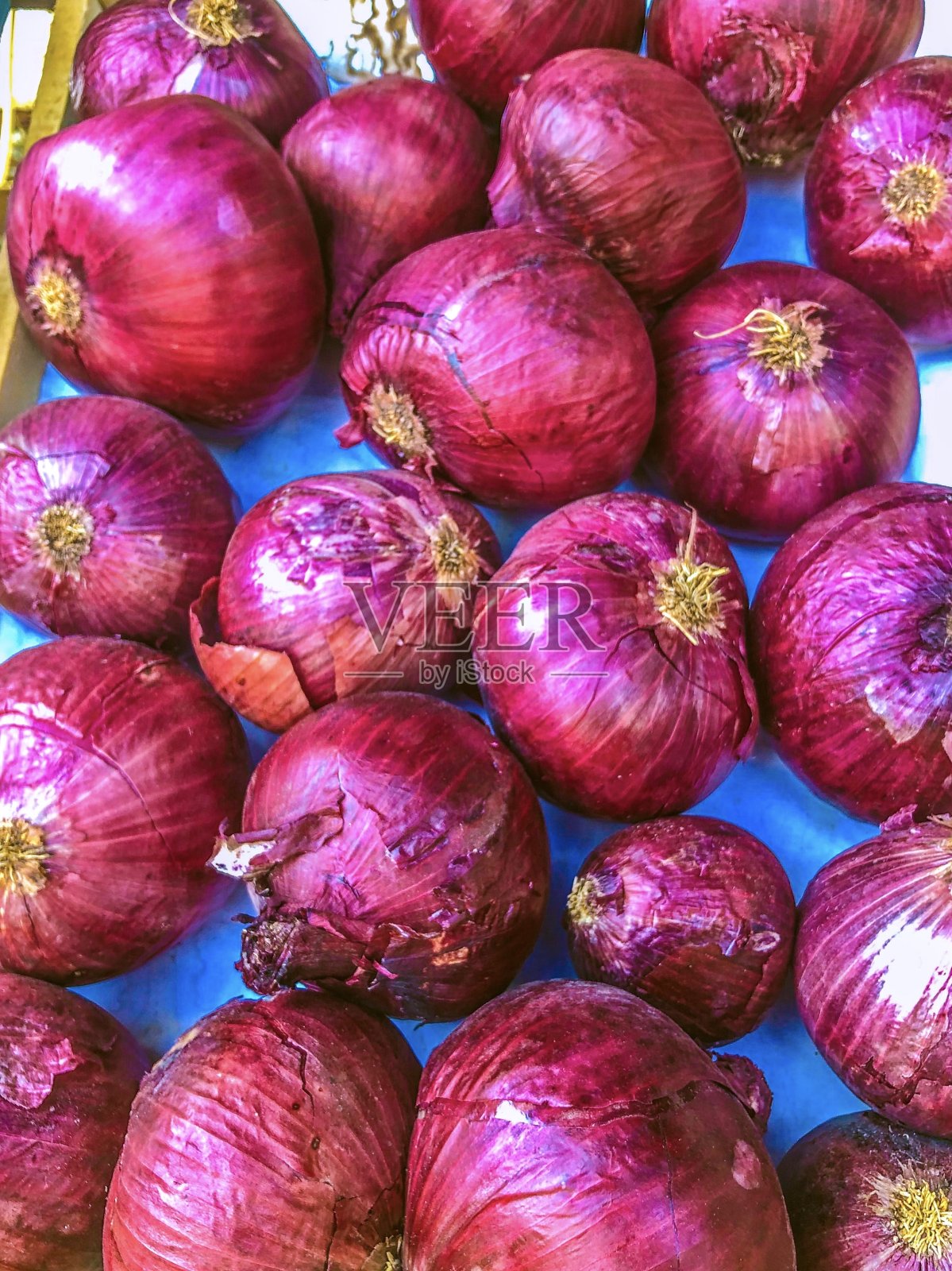 紫色洋葱照片摄影图片