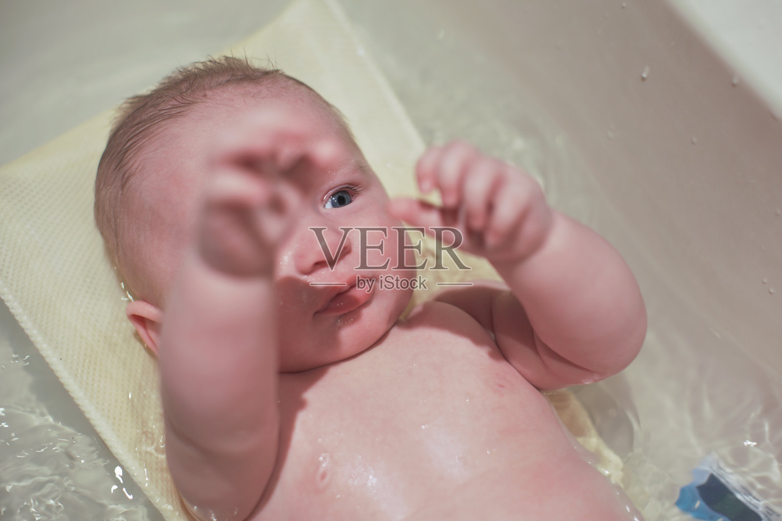 婴儿男婴洗在小浴盆里,俯视照片摄影图片