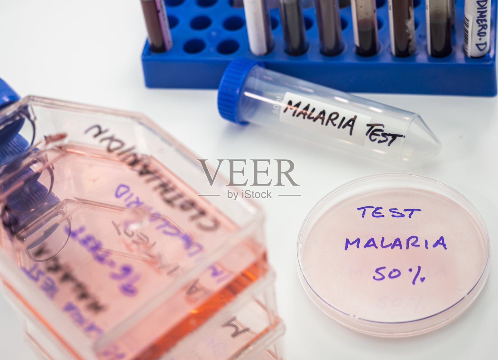 杀虫剂噻虫胺的实验室研究,通过疟蚊的按蚊科,概念图像照片摄影图片