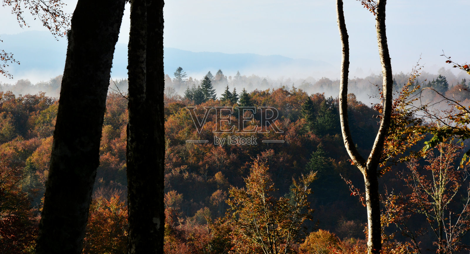 山上秋天的颜色照片摄影图片
