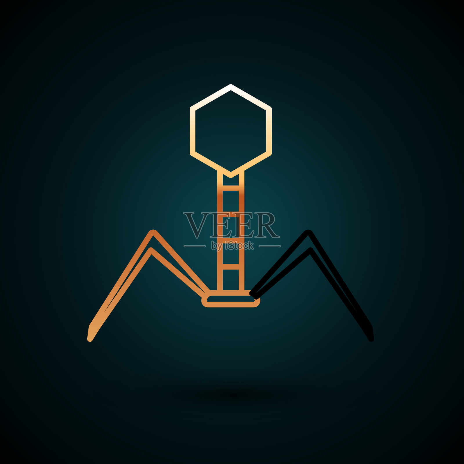 金线细菌噬菌体图标分离上插画图片素材