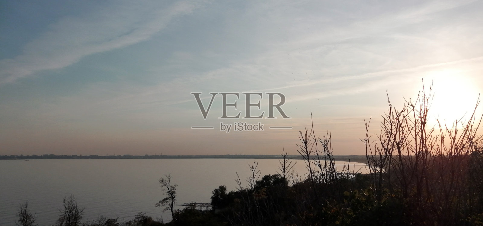 日落时海滩上的树木剪影照片摄影图片