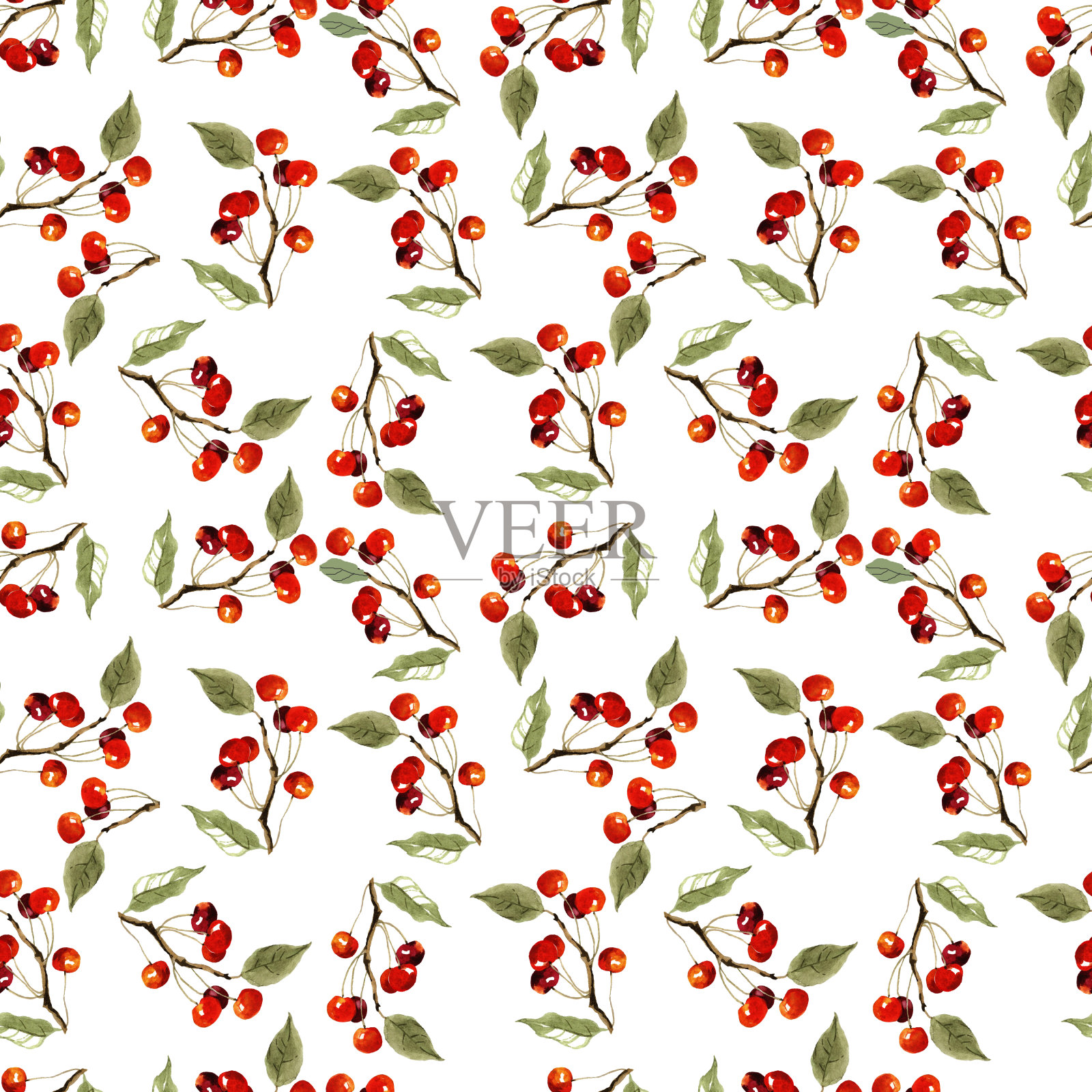 水彩樱桃枝上白色无缝图案。插画图片素材