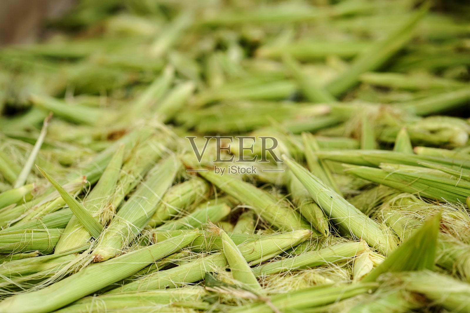 成堆的玉米皮照片摄影图片