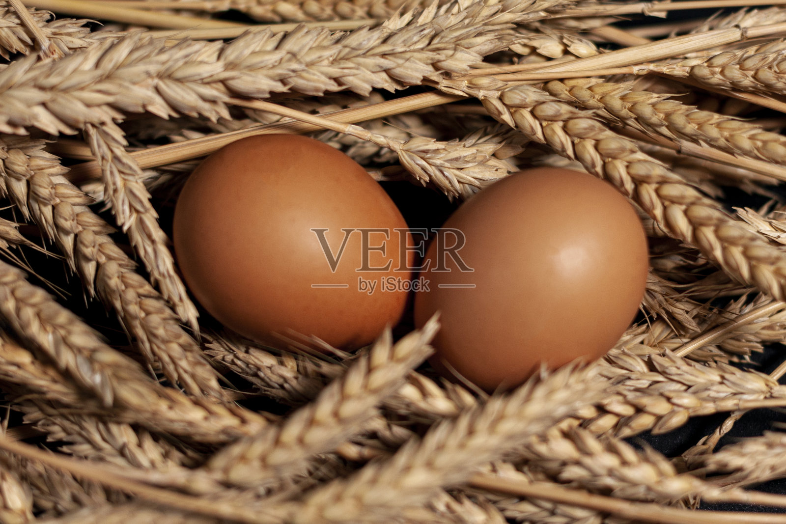 成熟的麦穗在镜头前。中间有两个鸡蛋。照片摄影图片