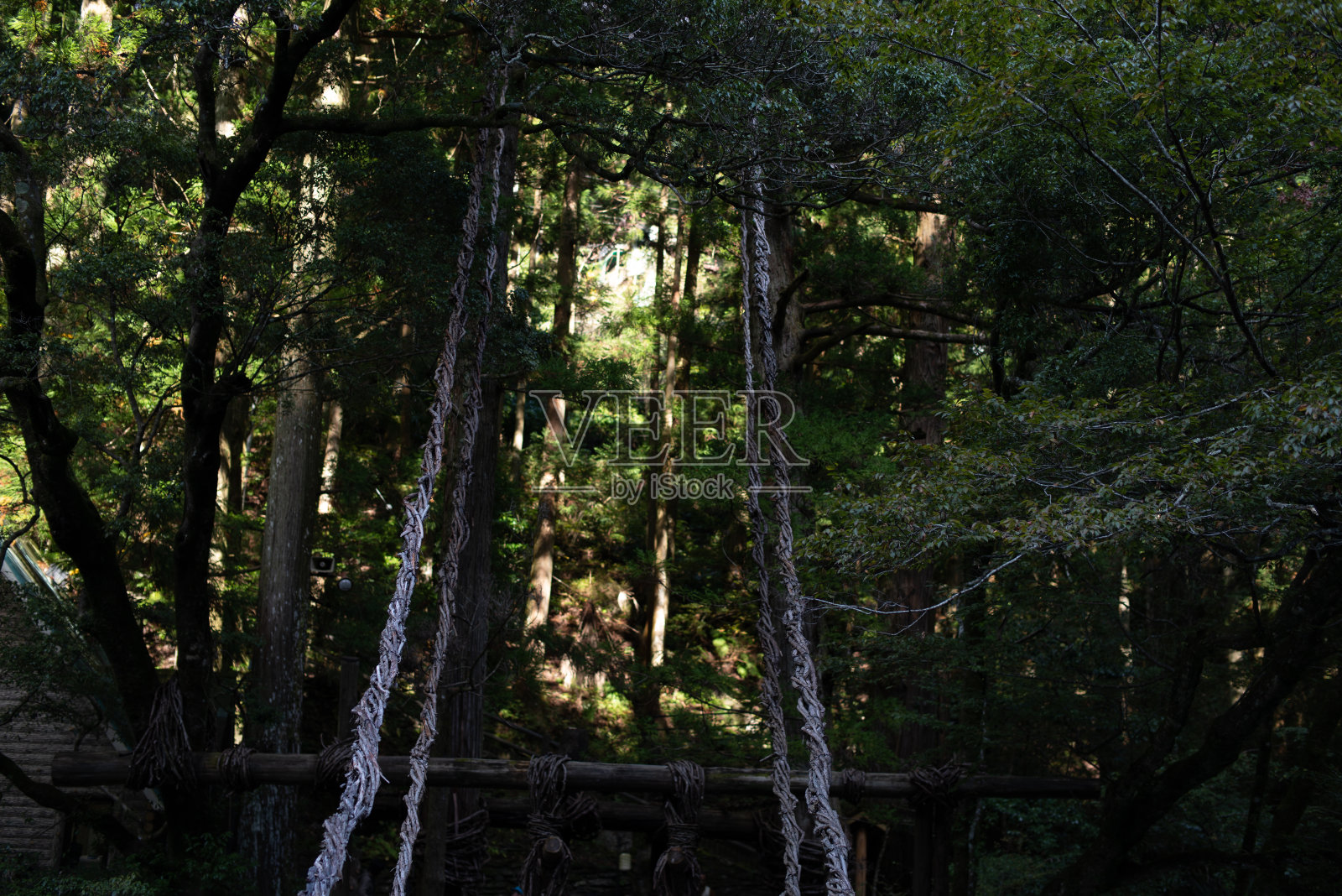 卡祖拉桥照片摄影图片