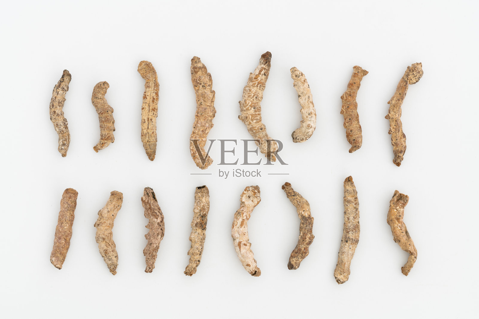 中草药:硬蚕照片摄影图片