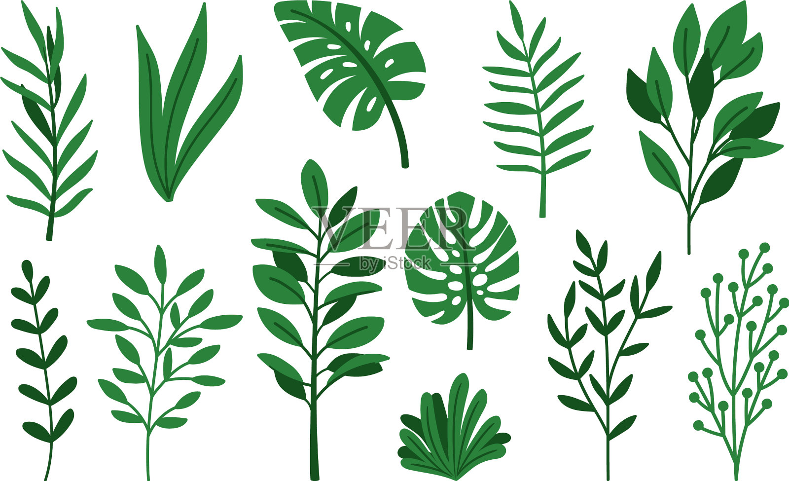 棕绿色的叶子在白色设计元素图片