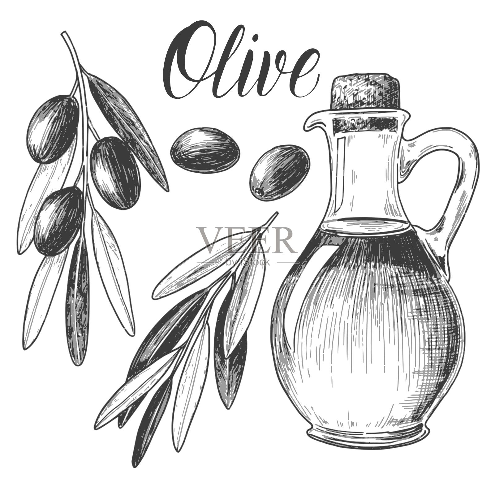 素描墨水图形橄榄油和植物组插图,草稿剪影,黑白线艺术。插画图片素材