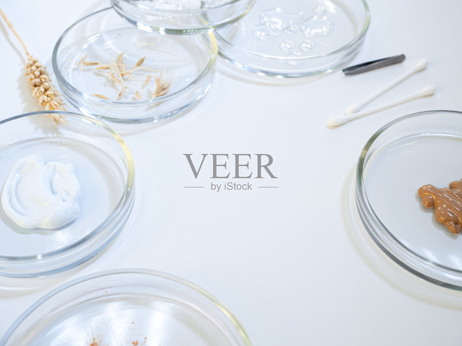 环保化妆品、油类及天然成分。环境的概念照片摄影图片