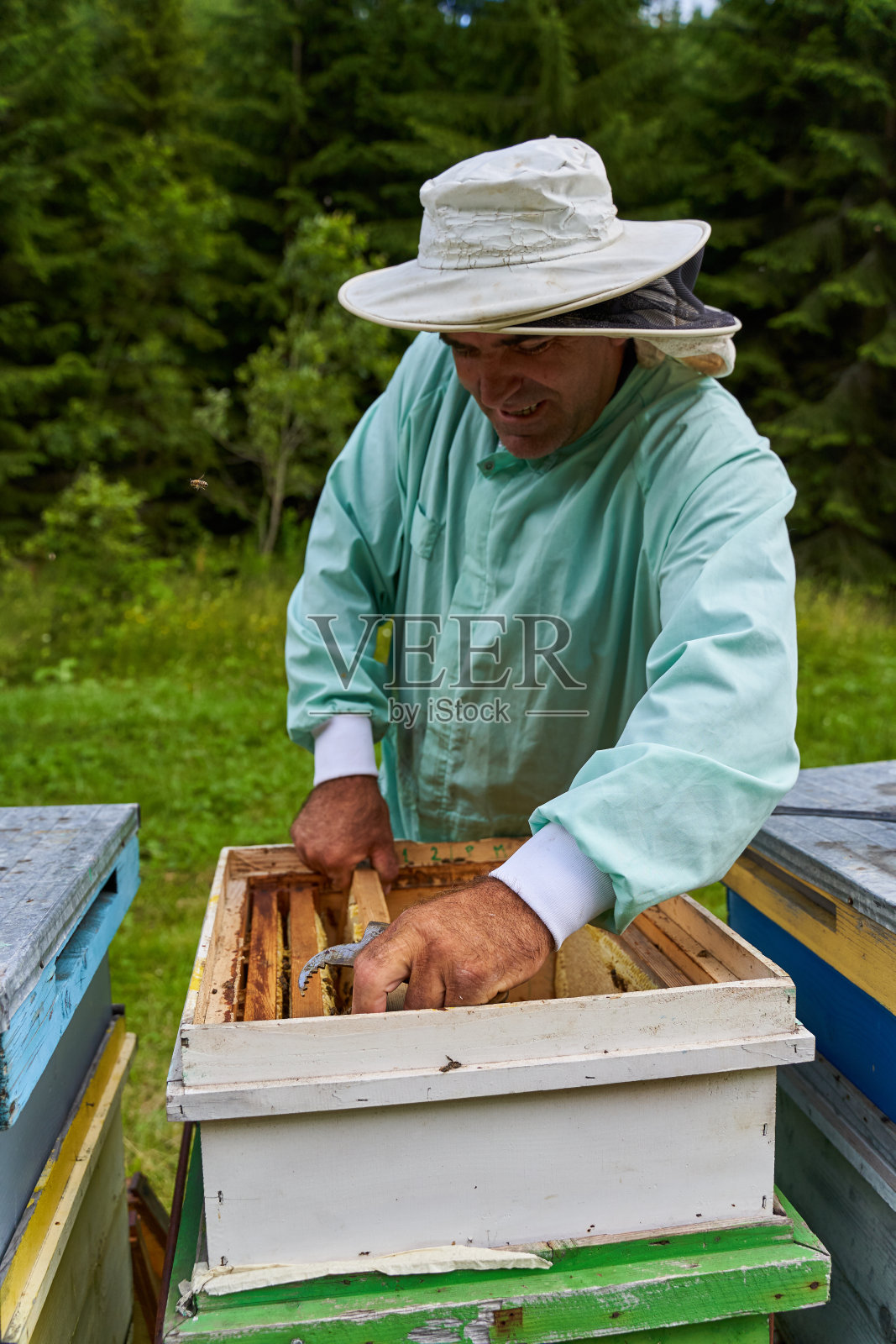 单手养蜂人在工作照片摄影图片