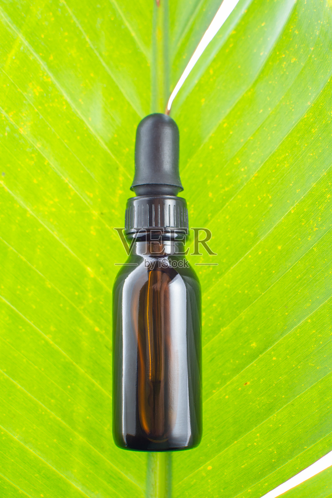 酊照片摄影图片