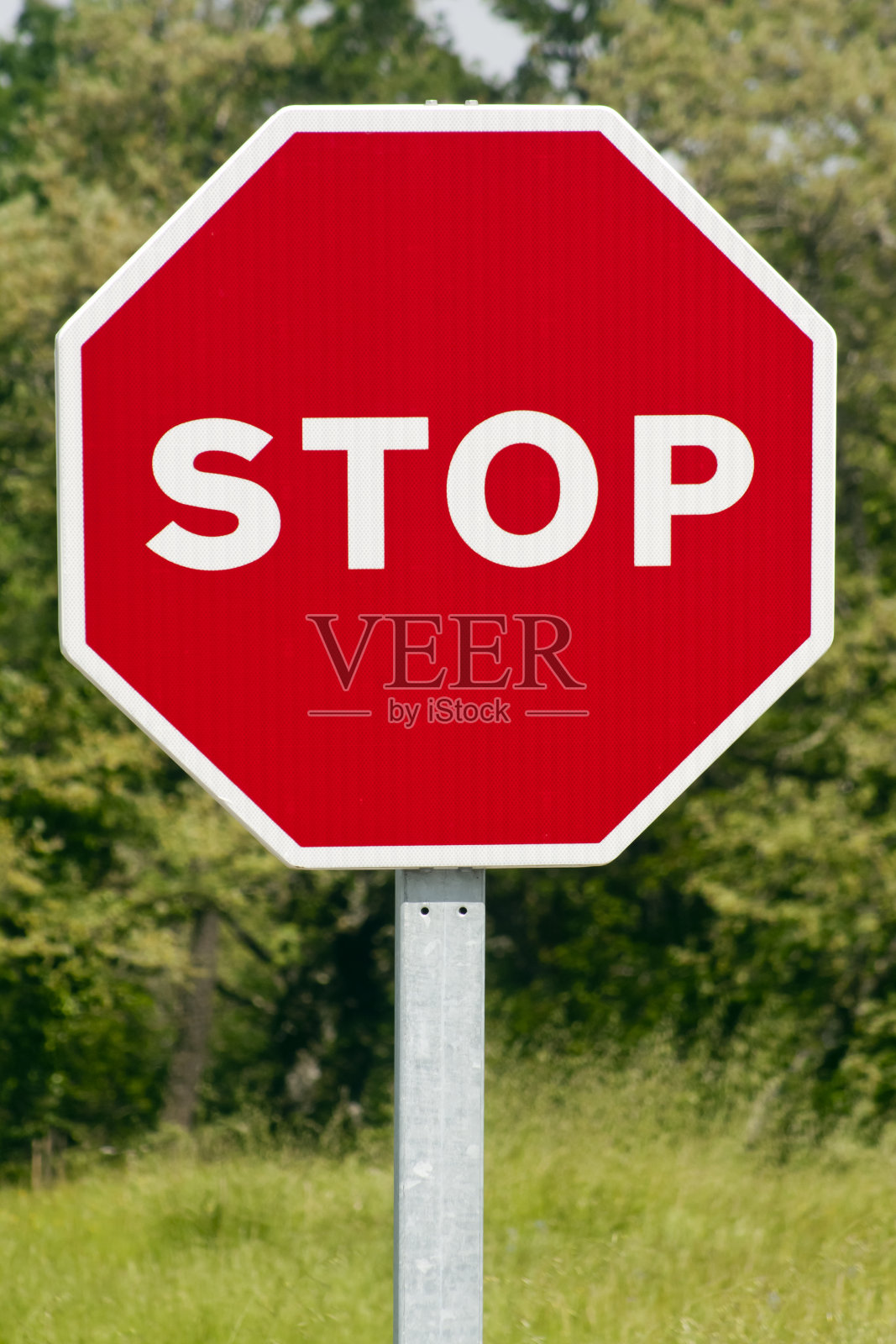 乡村道路上的停车标志。绿叶背景。照片摄影图片