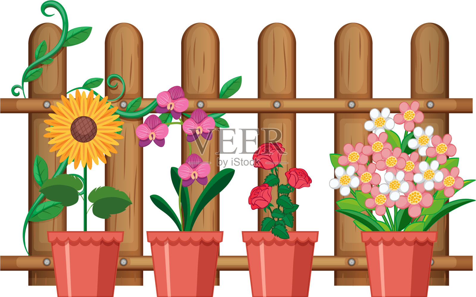 美丽的花在盆中白色的背景设计元素图片