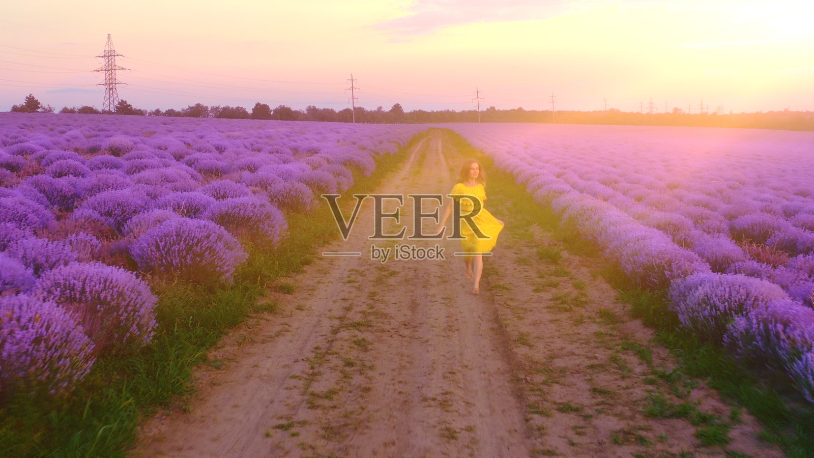 穿着黄色裙子的女人在美丽的薰衣草地里奔跑照片摄影图片