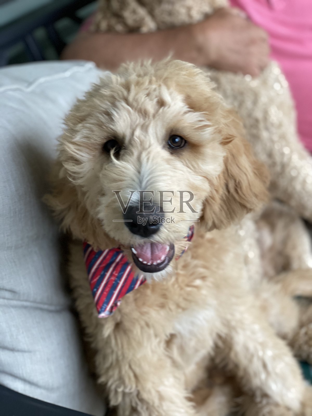 到达新家后的放松照片摄影图片