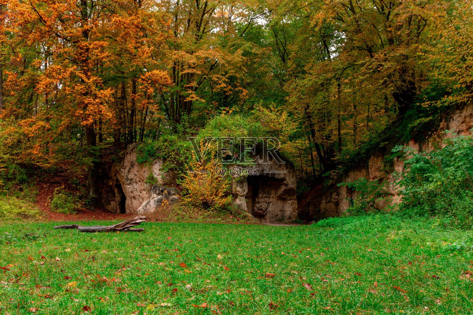 萨维尔斯博斯森林以前是采石场,现在回归自然,为马斯特里赫特附近的徒步旅行提供了惊人的可能性照片摄影图片